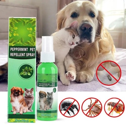 Antipulci cani gatti spray - gatti,