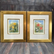 Coppia dipinti acquerelli