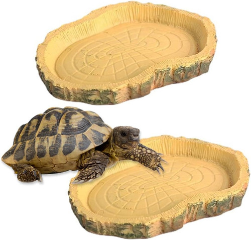 Pezzi teca per - pezzi, rettili