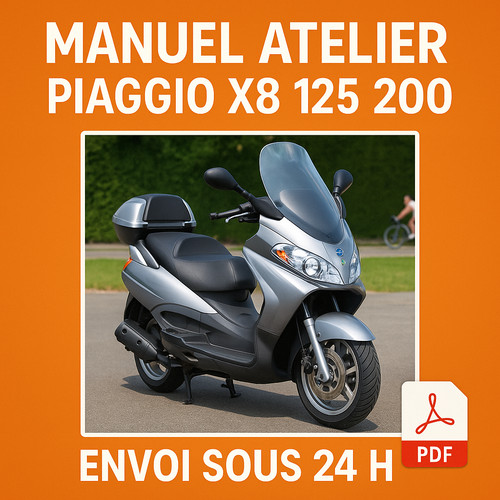 Manuel atelier piaggio - manuel,