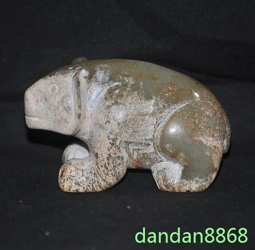Statua orso animale ricchezza