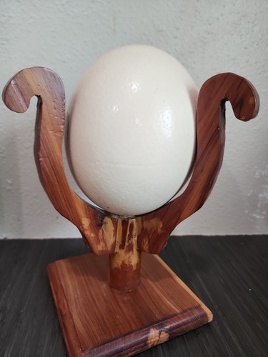 Large genuine ostrich egg - large,