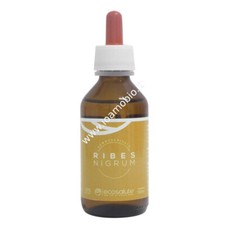 Ribes Nigrum Gemmoderivato