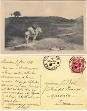 RITORNO DALLA QUESTUA - DIPINTO DELLEANI - CESANA TORINESE - VIAGG. 1918 -23564-