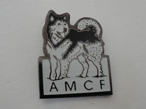 Pin alaskan malamute club - alaskan,