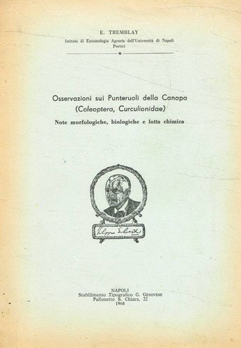 Osservazioni sui punteruoli - osservazioni,