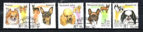 Russia 2000 razze - di, cani