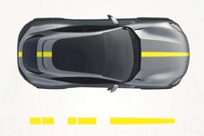 Decalcomanie strisce centrali