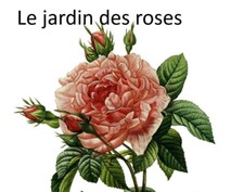 Moka cucchiaio argento