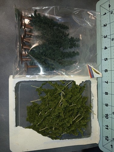 Lotto varietà alberi