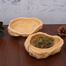  Nascondiglio Per Rettili