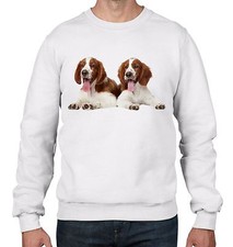 Gallese Springer Spaniel
