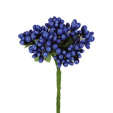 STEFANAZZI 144 Pezzi Pistilli