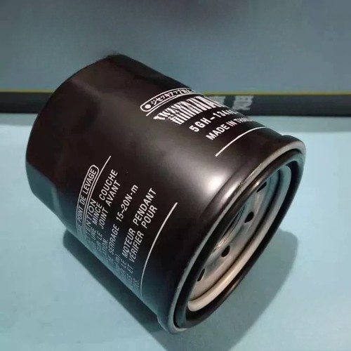 Filtro olio per motore
