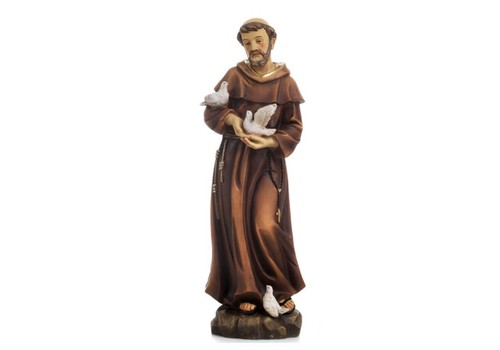 Statua san francesco - statua, in