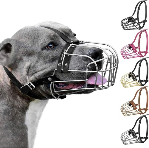 Pitbull cestino filo museruola - pitbull,