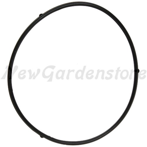 Guarnizione carburatore
