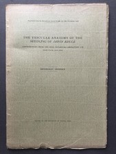 Reinhardt Thiessen / Vascular