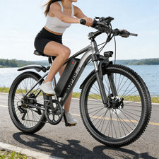 Bicicletta elettrica