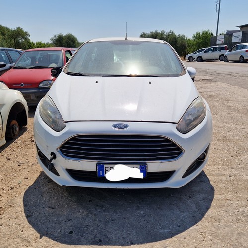 Musata muso kit - ford, fiesta