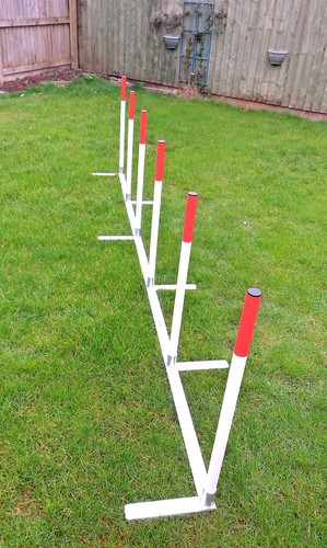 Dog agility 2x2 trama - agility,