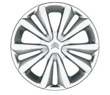 COPRICERCHIO NUCLEAR 16''