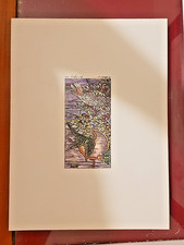 Grafica incisione pappagalli - grafica,