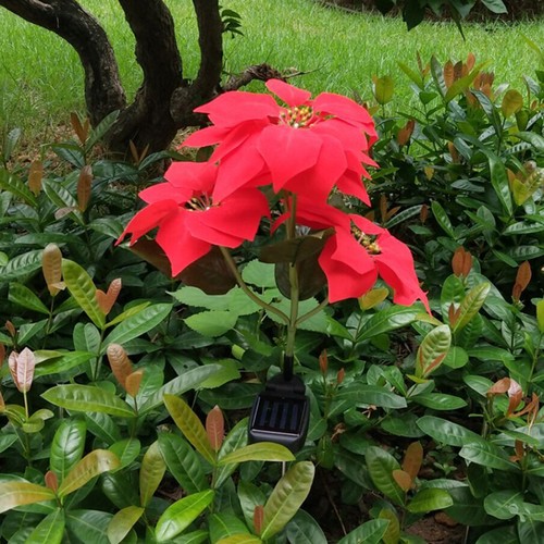 Luce giardino solare luci - luce, da