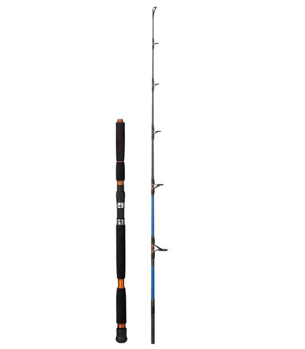 Canna tamura ika 80m - canna,