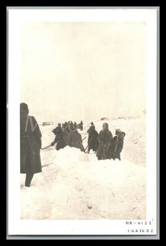 Foto ww2 fronte orientale - foto,, ww2,