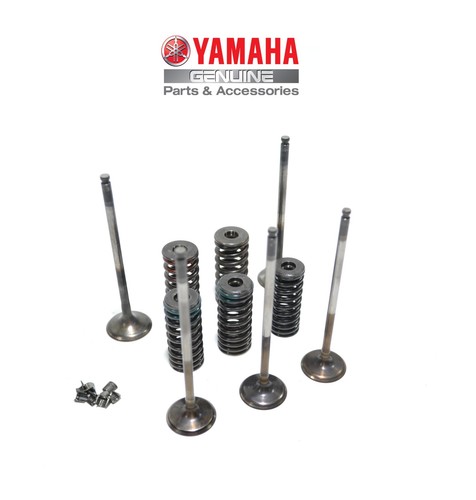 Set valvole aspirazione