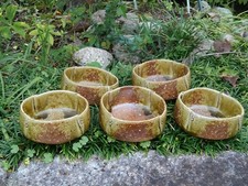 Set di 5 piccole ciotole in