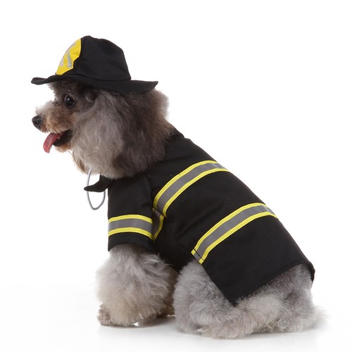 Abiti cani costume per - cani,