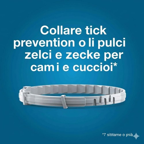 Collare antiparassitario - collare,