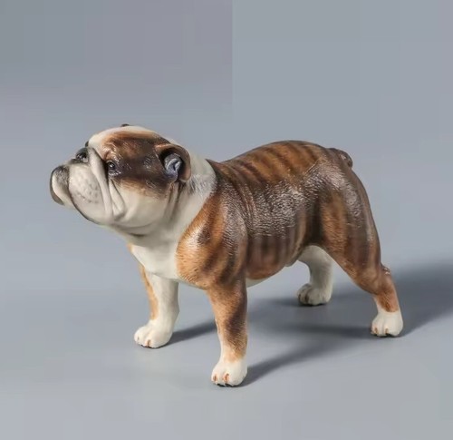 Bulldog cane animale
