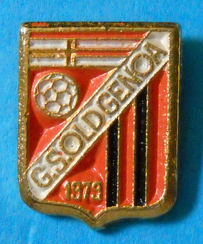 Distintivo spilla pin badge - distintivo,