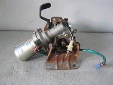 PIANTONE CANNA STERZO SITO