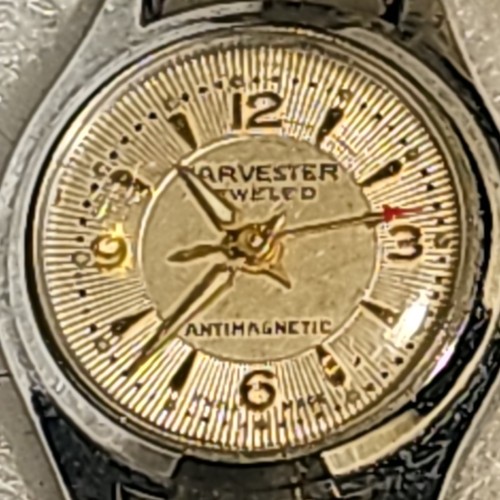 Orologio polso analogico - orologio, da