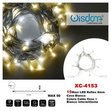 CATENA LUMINOSA 15 LUCI LED