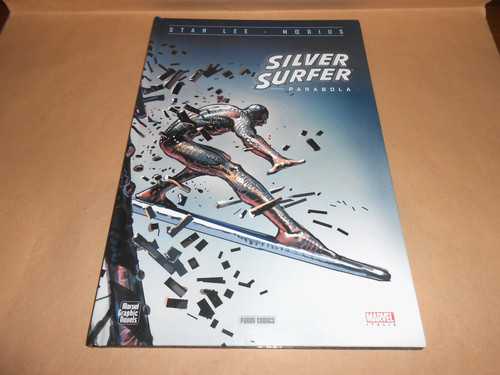 Silver surfer parabola stan - silver,