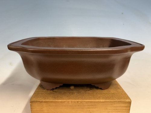 Bonsai non smaltato tokoname - bonsai,