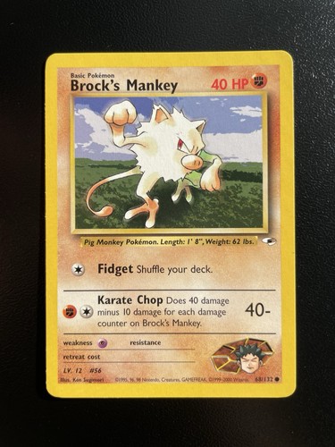 Pokemon brock mankey gym - pokemon,