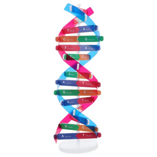 Modellino dna kit modello - modellino,