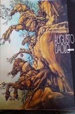 Augusto Daolio Libro d'arte