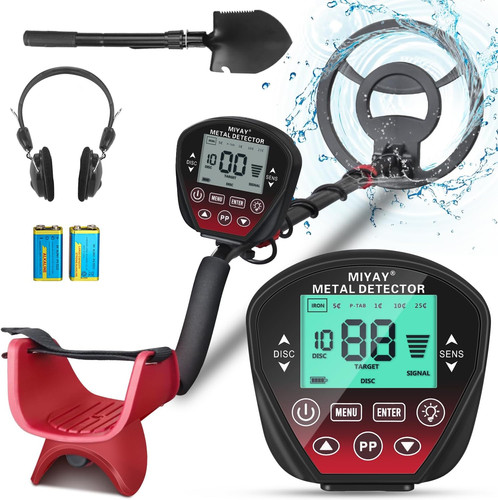 Metal detector professionali - detector,