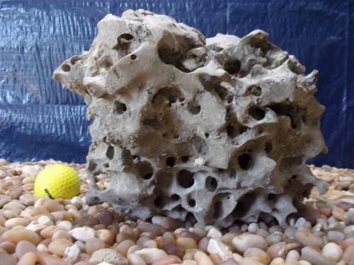 Texas holey rock - holey,