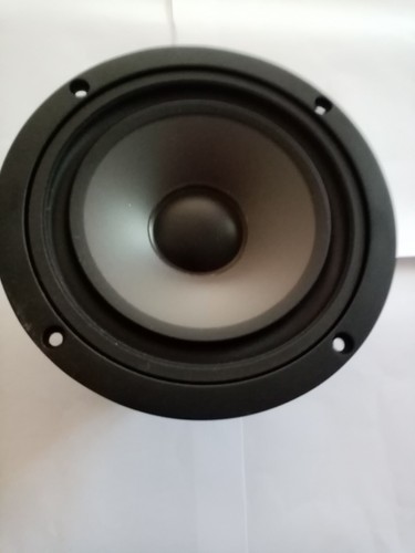 Altoparlante woofer - woofer, coppia