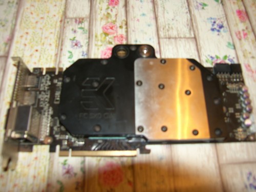 Scheda video gainward nvidia - scheda,