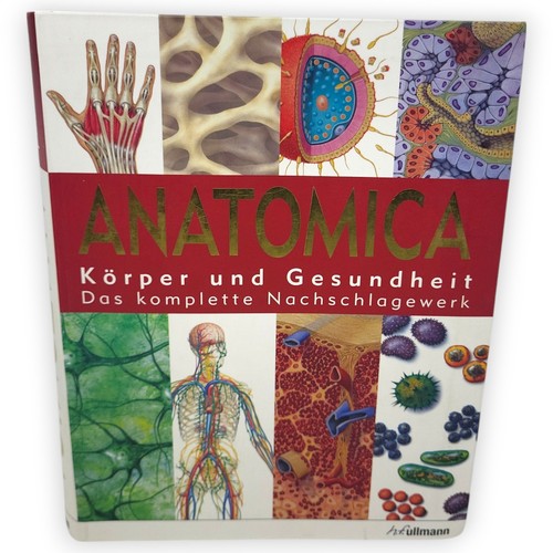 Anatomica körper und - anatomica,