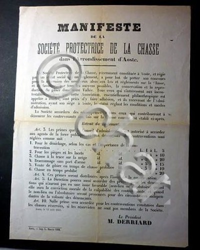 Documento manifesto società - documento,